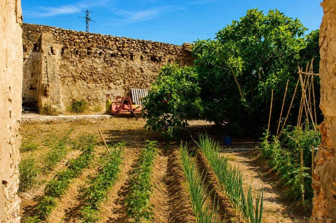 4 soveværelse Finca/Landehus til salg i Oliva - € 1.244.000 (Ref: 9959927)