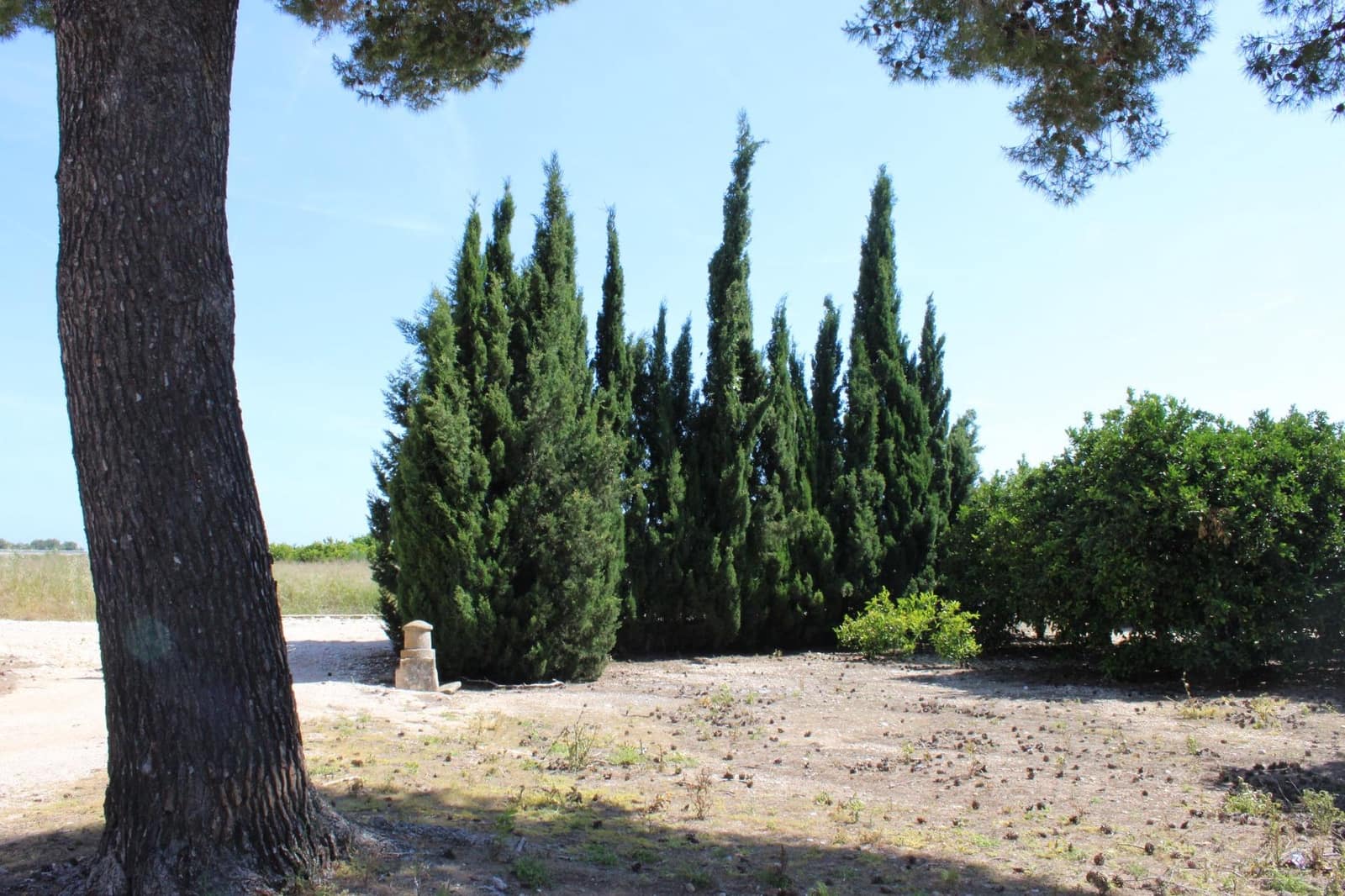 4 soveværelse Finca/Landehus til salg i Oliva - € 1.244.000 (Ref: 9959927)