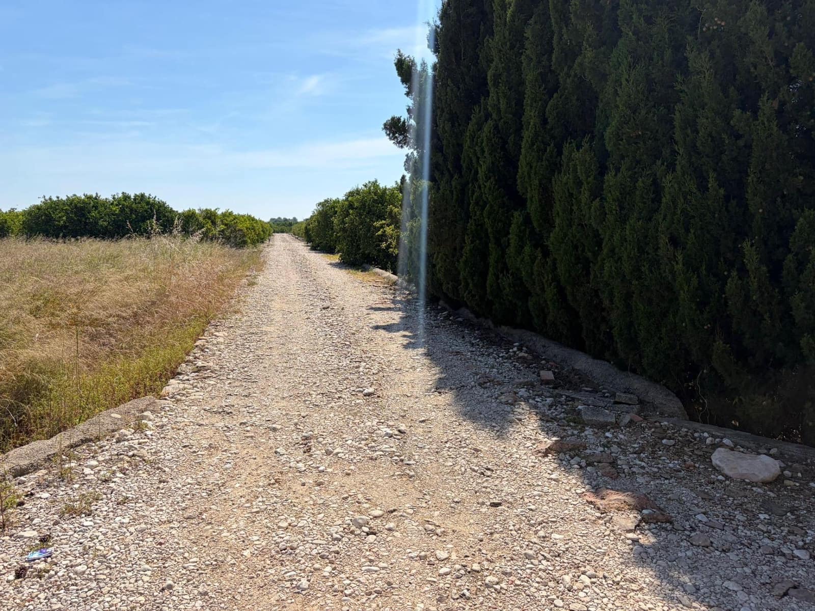 4 soveværelse Finca/Landehus til salg i Oliva - € 1.244.000 (Ref: 9959927)