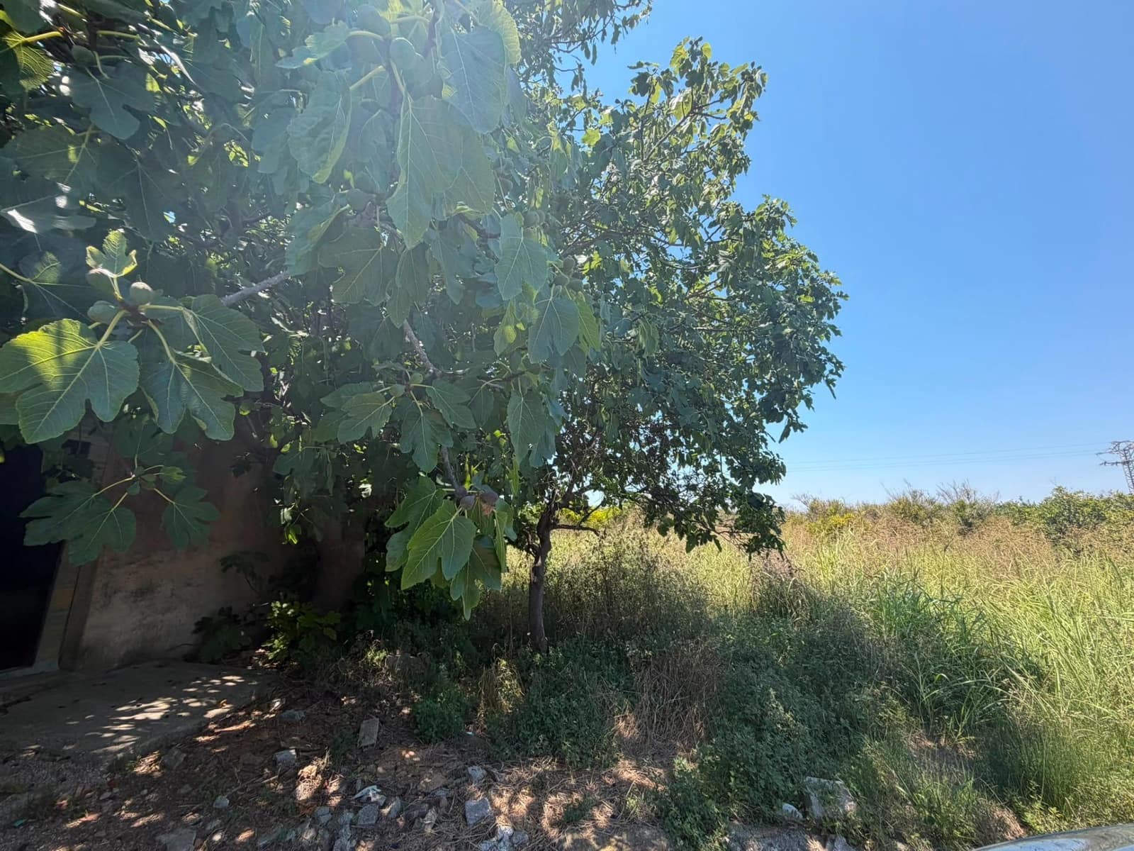 Grunde uden byggetilladelser til salg i Oliva - € 30.000 (Ref: 9965392)