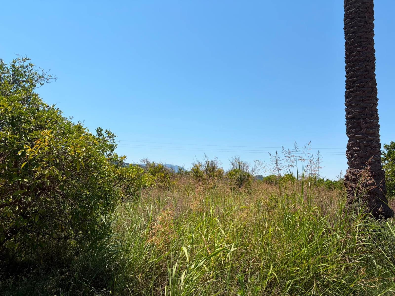 Grunde uden byggetilladelser til salg i Oliva - € 30.000 (Ref: 9965392)