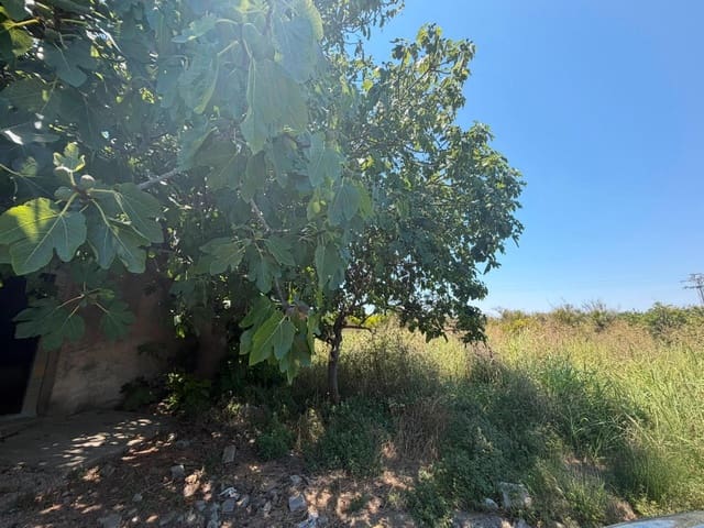 Grunde uden byggetilladelser til salg i Oliva - € 30.000 (Ref: 9965392)