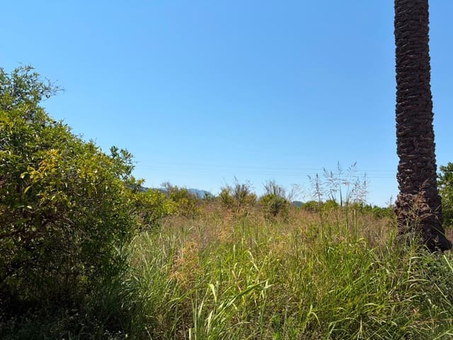 Grunde uden byggetilladelser til salg i Oliva - € 30.000 (Ref: 9965392)