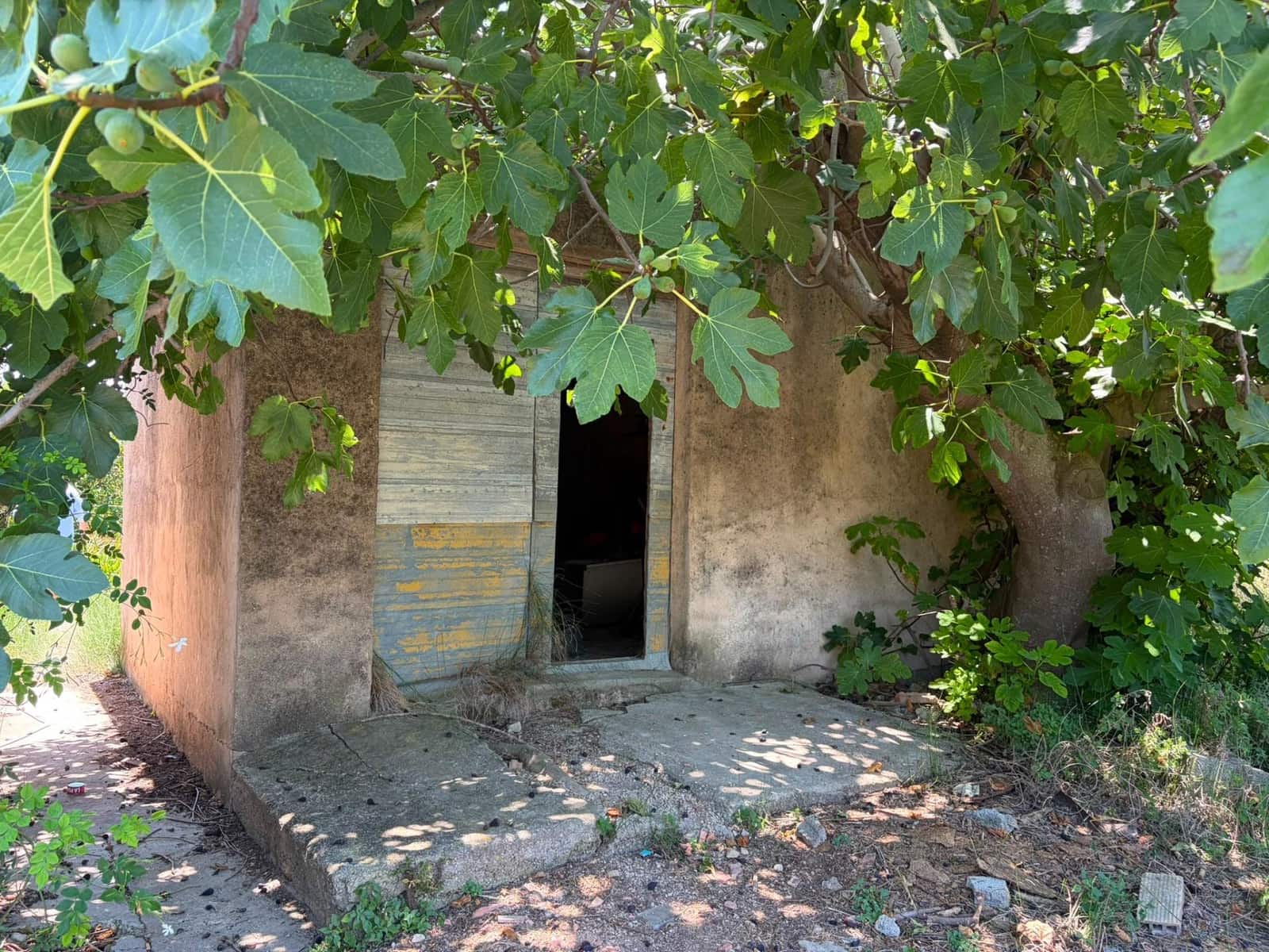 Grunde uden byggetilladelser til salg i Oliva - € 30.000 (Ref: 9965392)