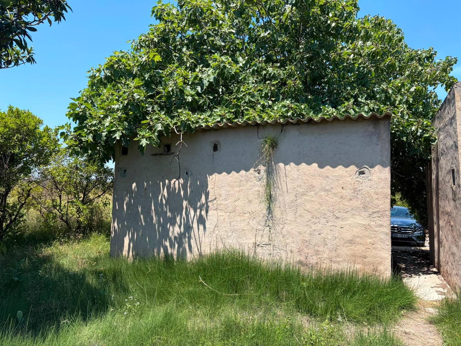 Grunde uden byggetilladelser til salg i Oliva - € 30.000 (Ref: 9965392)