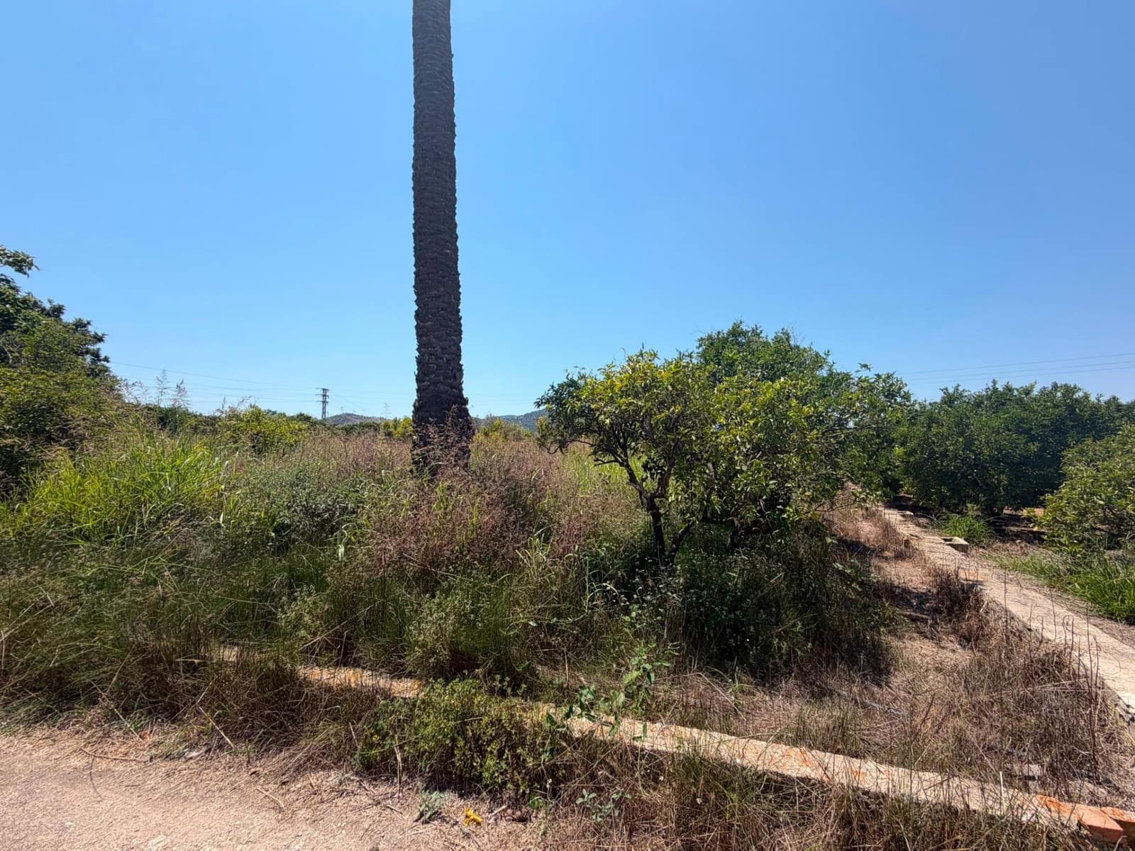 Grunde uden byggetilladelser til salg i Oliva - € 30.000 (Ref: 9965392)
