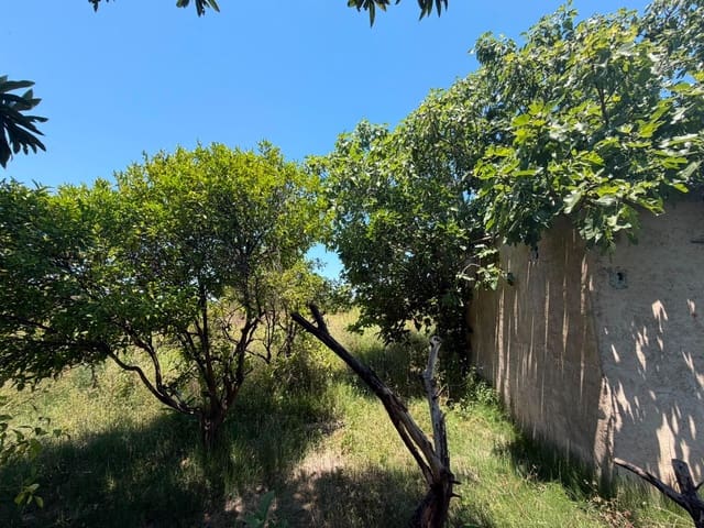 Grunde uden byggetilladelser til salg i Oliva - € 30.000 (Ref: 9965392)