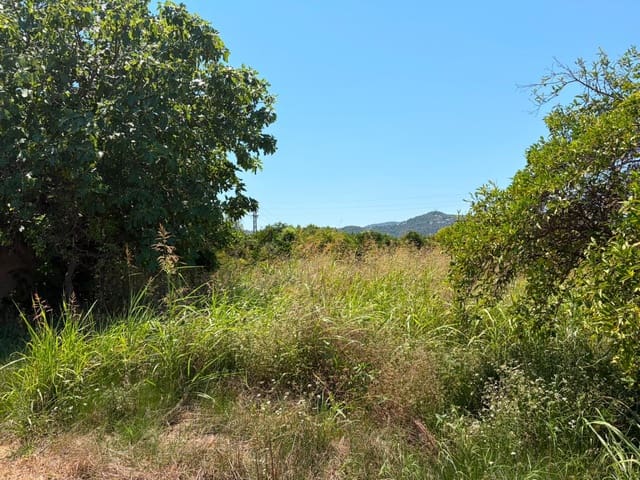 Grunde uden byggetilladelser til salg i Oliva - € 30.000 (Ref: 9965392)