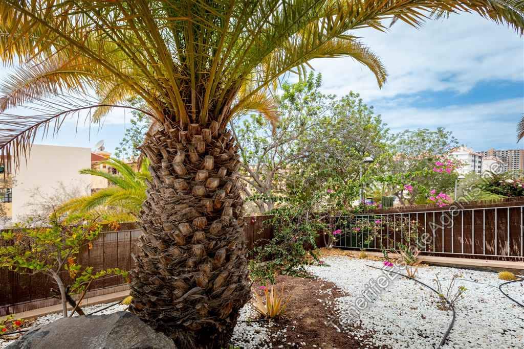 2 bedroom Apartment for sale in Los Cristianos with pool - € 575,000 (Ref: 9262108)