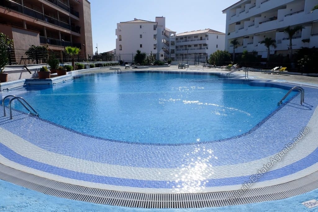 Studio for sale in Los Cristianos with pool - € 220,000 (Ref: 9329979)