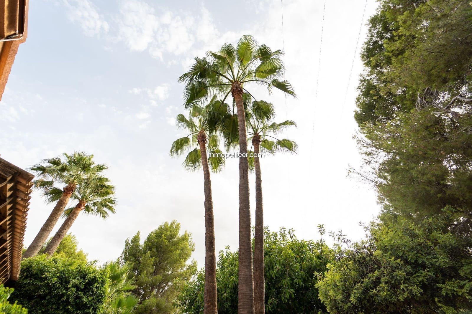 5 soveværelse Villa til salg i Alfaz del Pi / L'Alfas del Pi med swimmingpool garage - € 2.900.000 (Ref: 8184288)