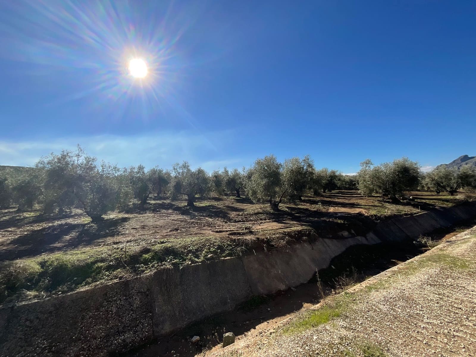 2 chambre Finca/Maison de Campagne à vendre à Antequera avec piscine garage - 350 000 € (Ref: 10179784)