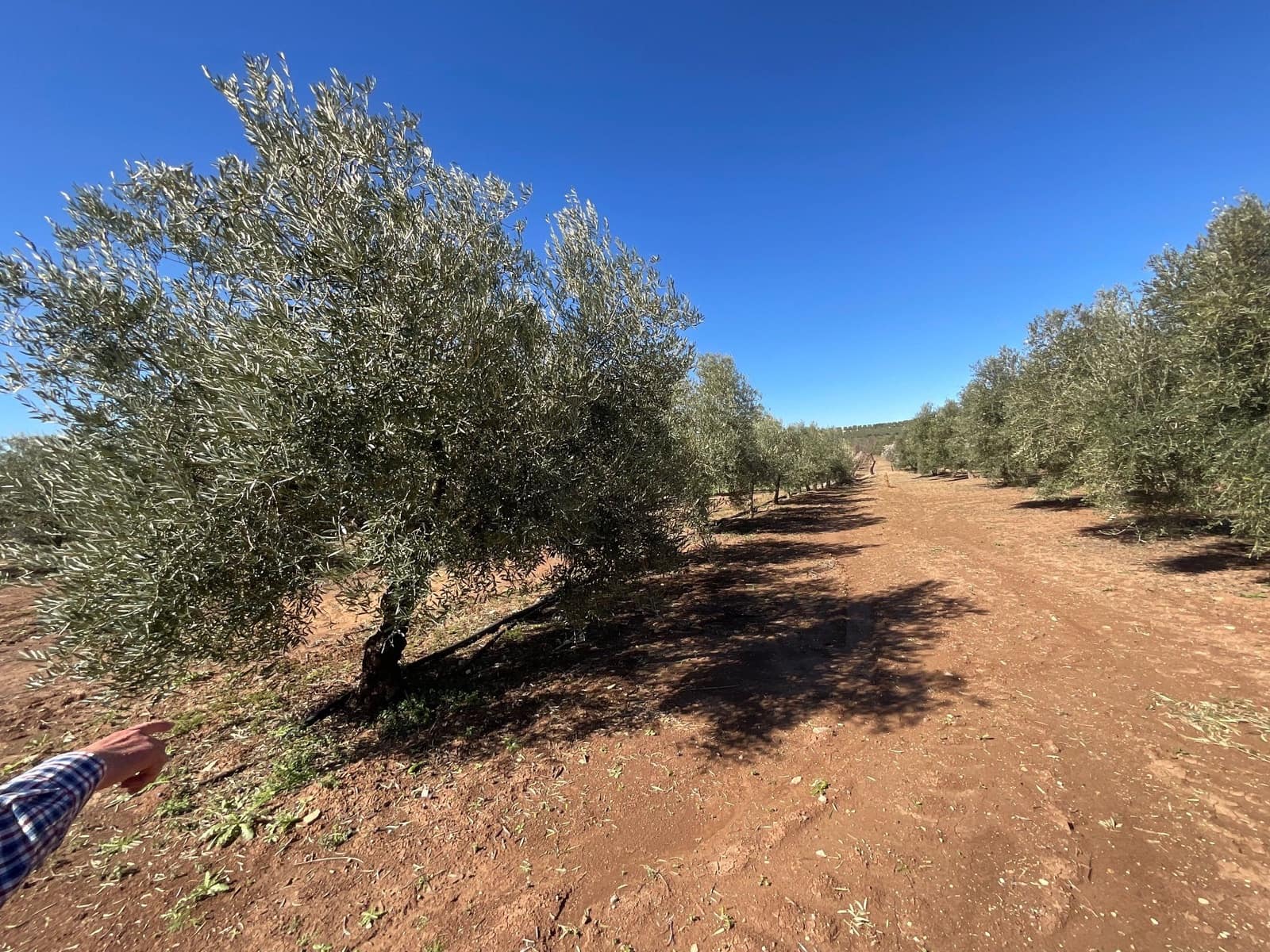 2 chambre Finca/Maison de Campagne à vendre à Antequera avec piscine garage - 350 000 € (Ref: 10179784)