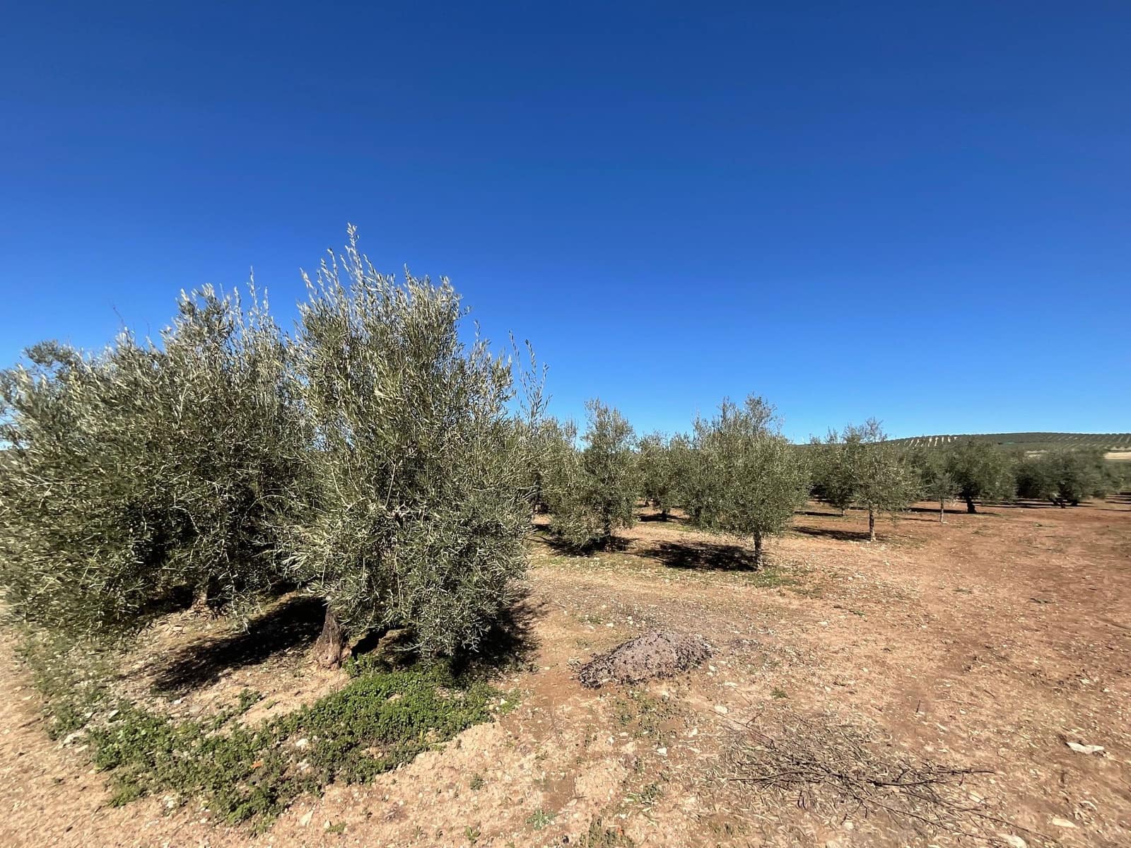 2 chambre Finca/Maison de Campagne à vendre à Antequera avec piscine garage - 350 000 € (Ref: 10179784)