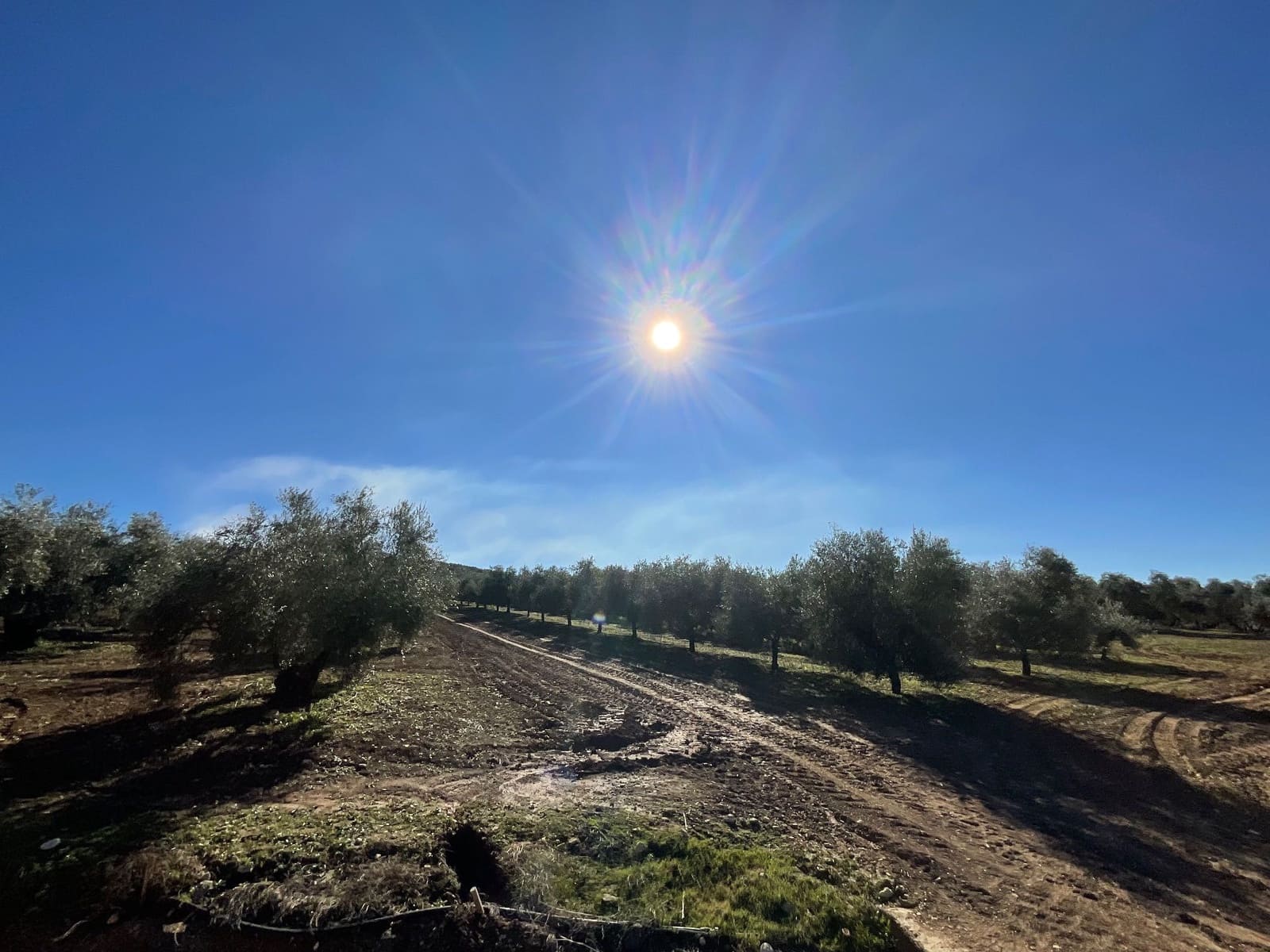 2 chambre Finca/Maison de Campagne à vendre à Antequera avec piscine garage - 350 000 € (Ref: 10179784)