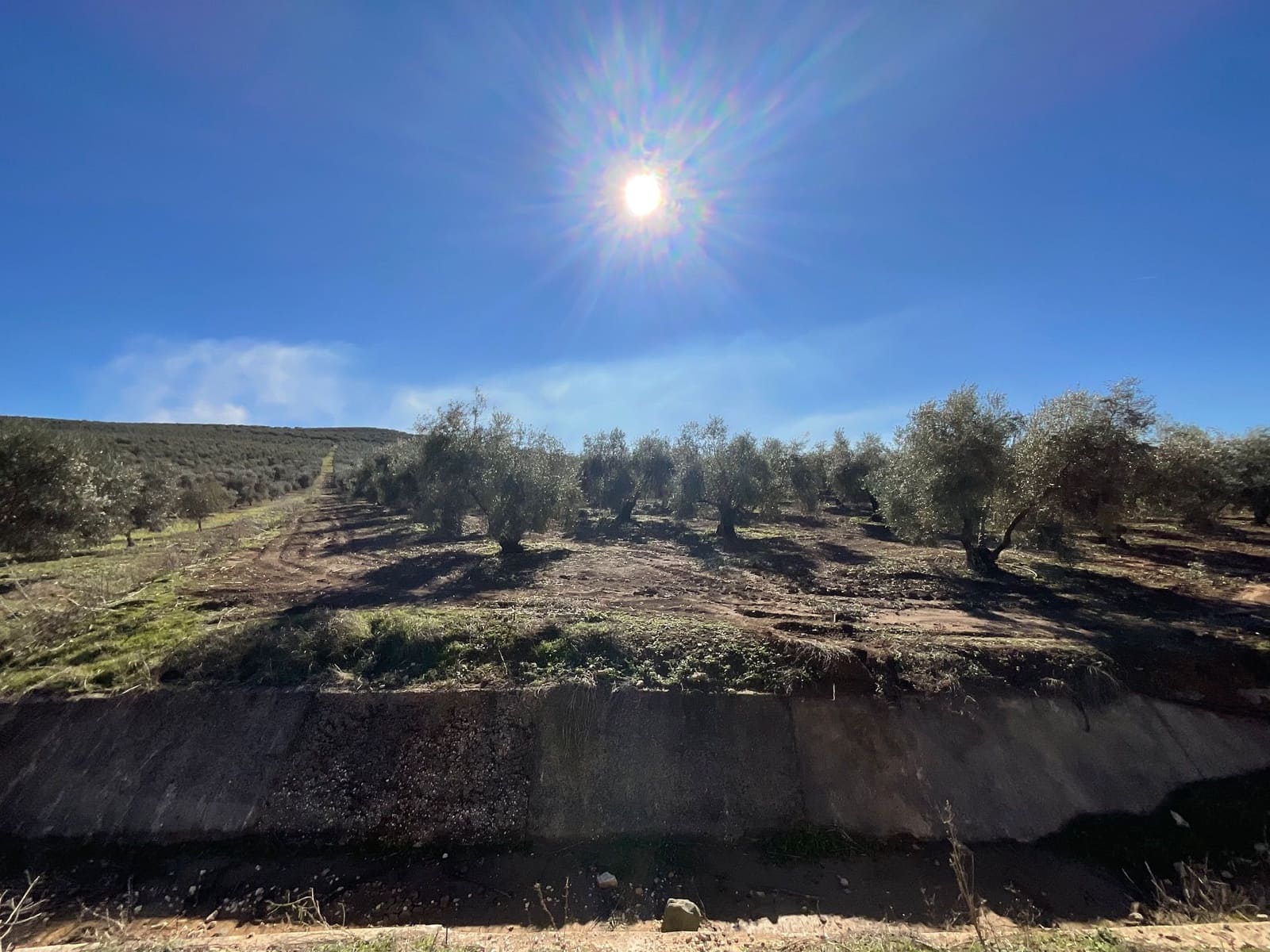2 chambre Finca/Maison de Campagne à vendre à Antequera avec piscine garage - 350 000 € (Ref: 10179784)