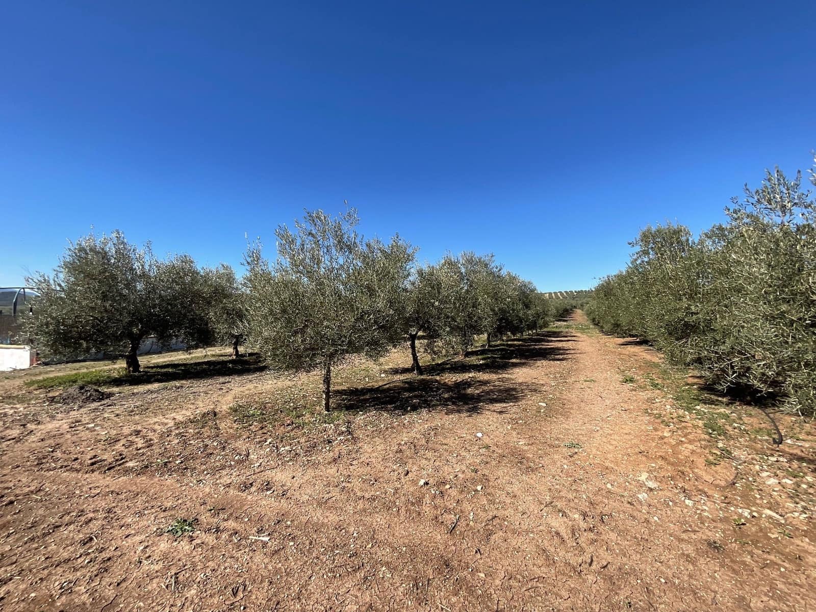 2 chambre Finca/Maison de Campagne à vendre à Antequera avec piscine garage - 350 000 € (Ref: 10179784)
