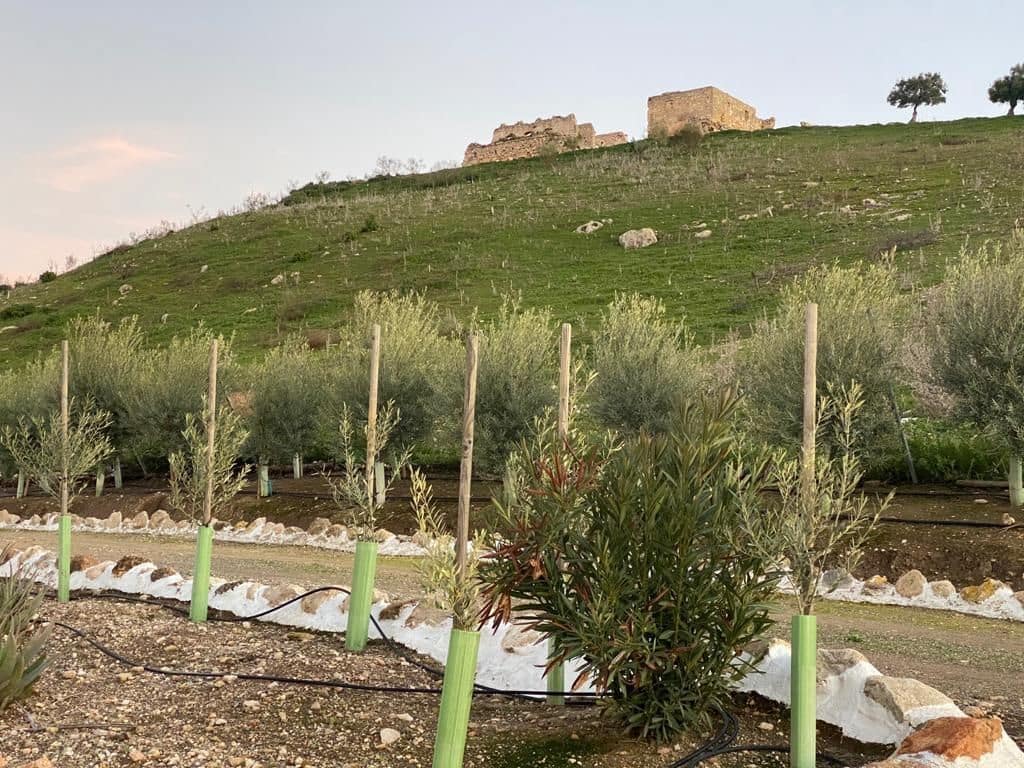 7 soveværelse Finca/Landehus til salg i Osuna med swimmingpool garage - € 2.000.000 (Ref: 9036350)