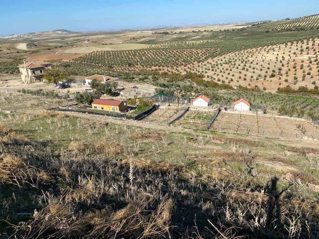 7 soveværelse Finca/Landehus til salg i Osuna med swimmingpool garage - € 2.000.000 (Ref: 9036350)