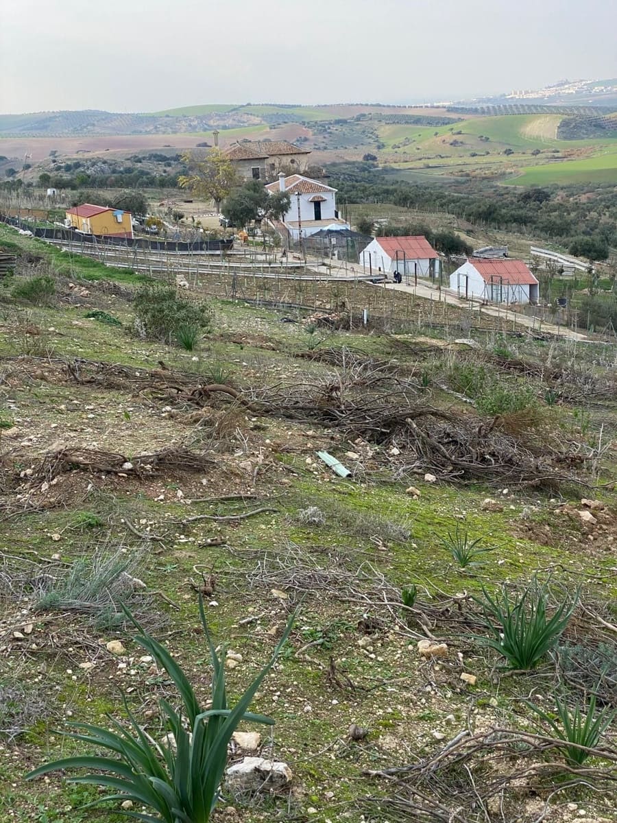 7 soveværelse Finca/Landehus til salg i Osuna med swimmingpool garage - € 2.000.000 (Ref: 9036350)