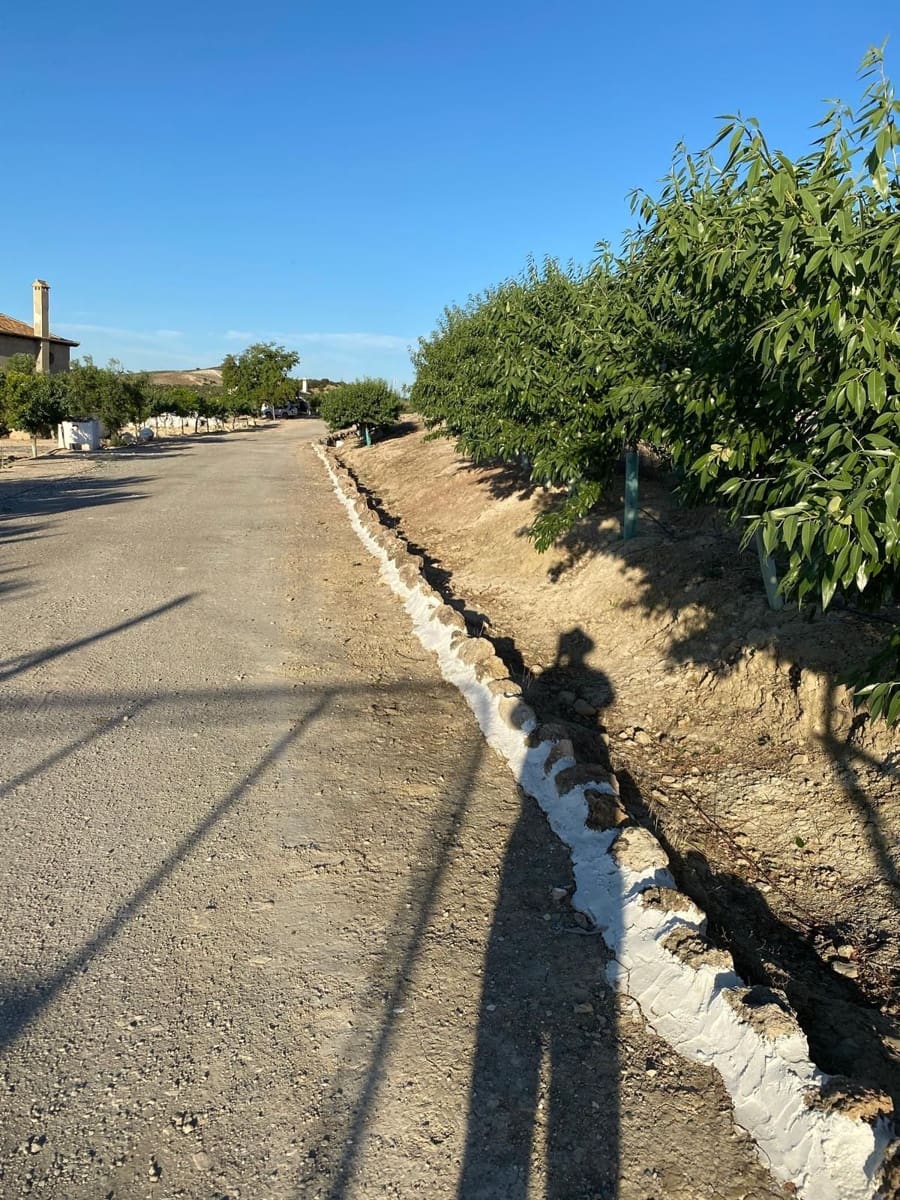 7 soveværelse Finca/Landehus til salg i Osuna med swimmingpool garage - € 2.000.000 (Ref: 9036350)