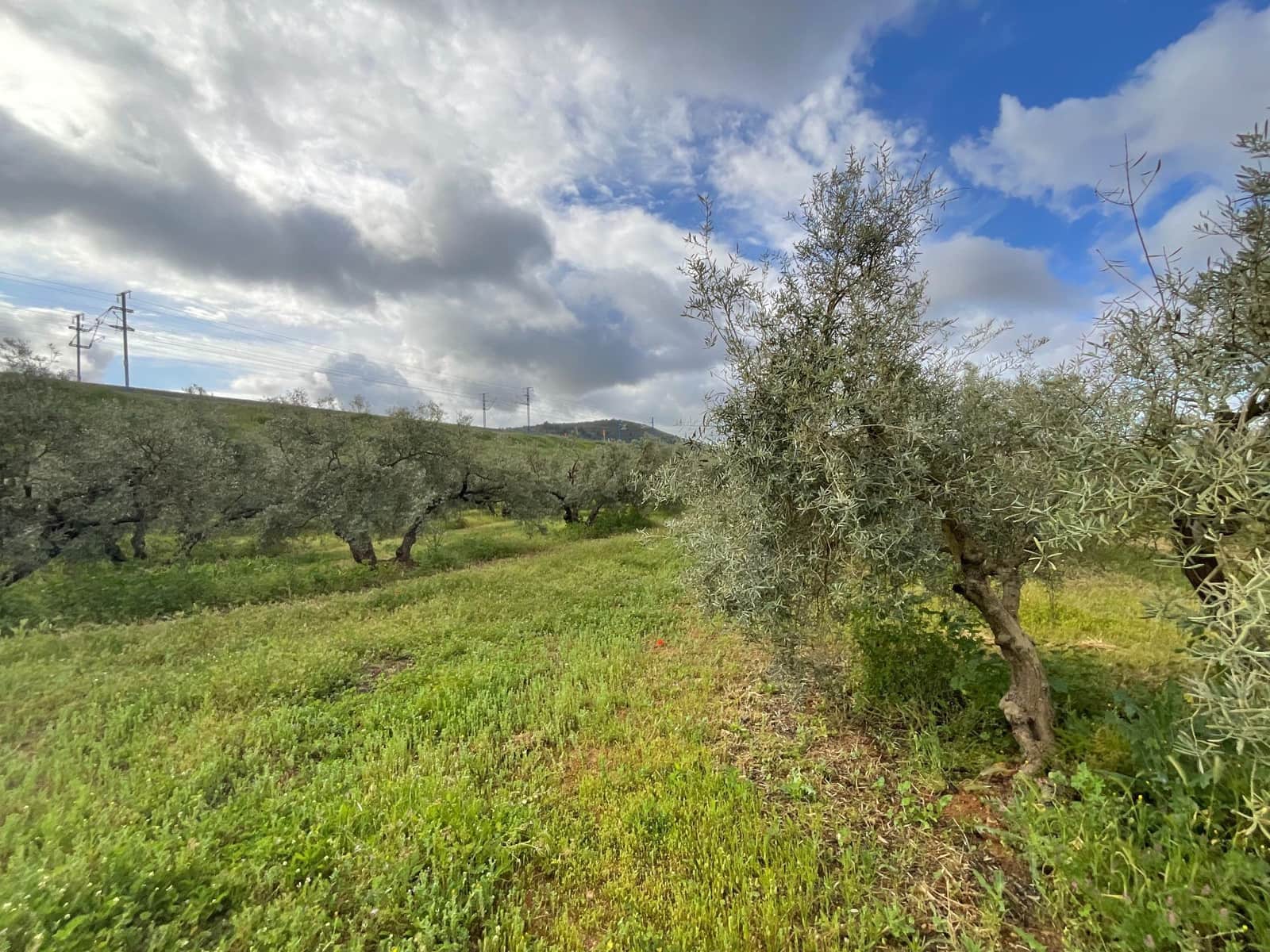 Finca/Landehus til salg i Fuente de Piedra - € 188.000 (Ref: 9036364)