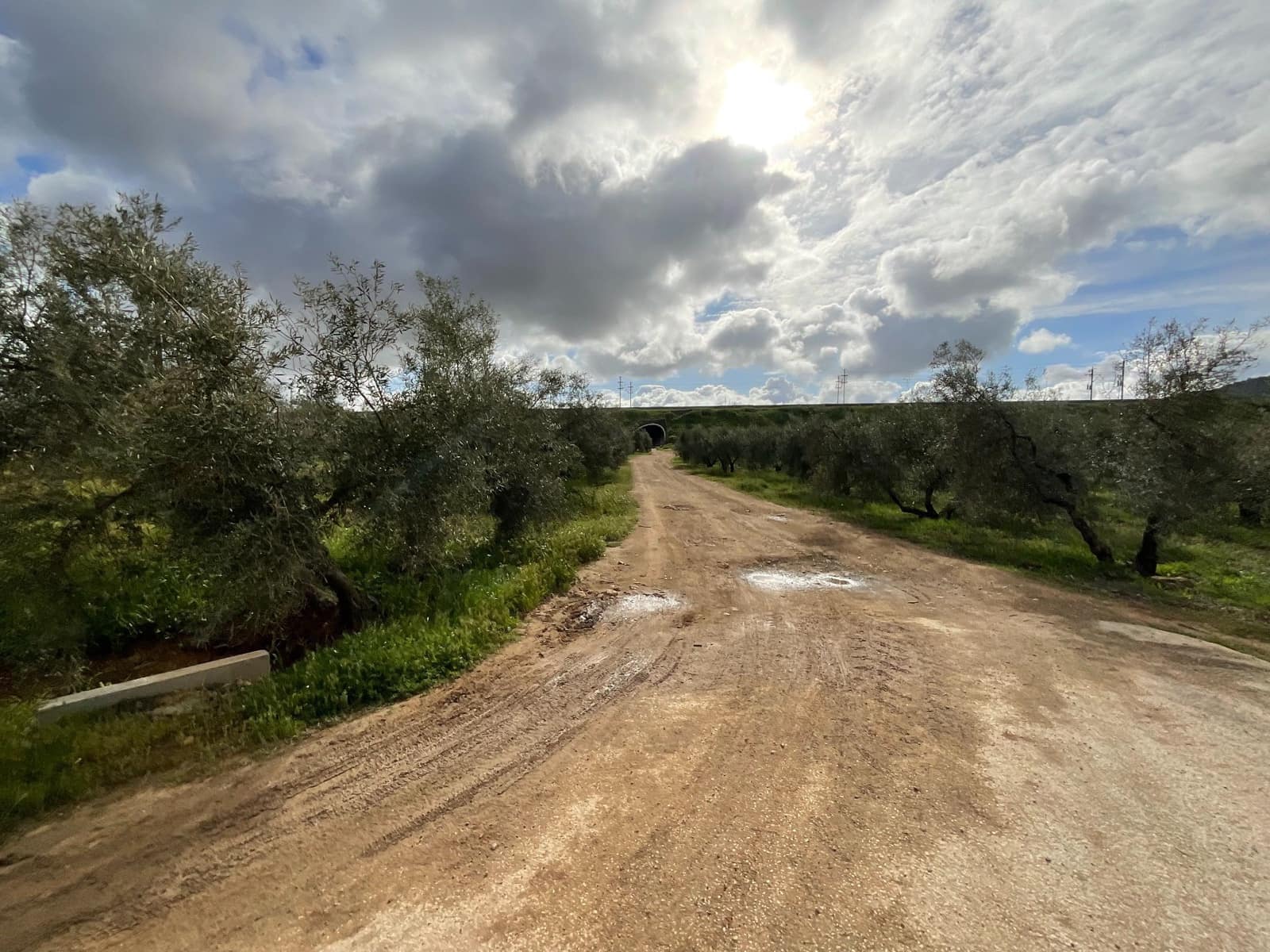 Finca/Landehus til salg i Fuente de Piedra - € 188.000 (Ref: 9036364)