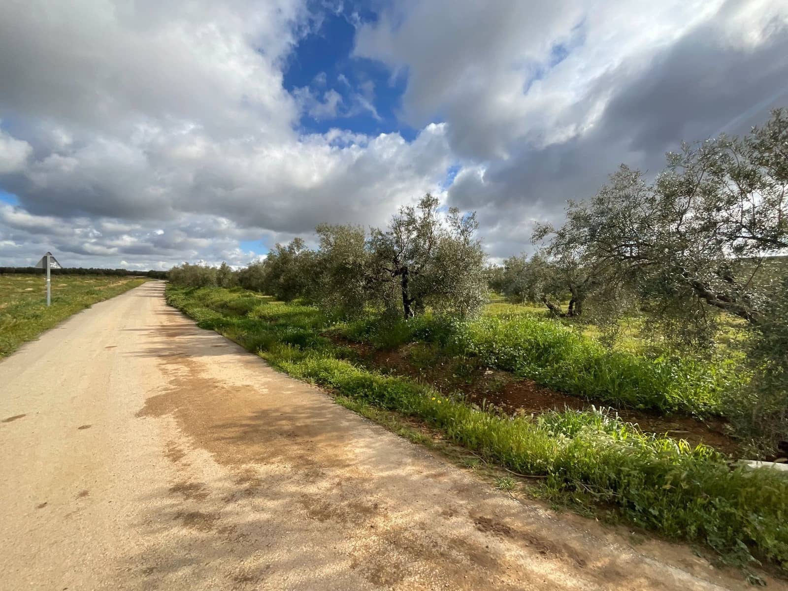 Finca/Landehus til salg i Fuente de Piedra - € 188.000 (Ref: 9036364)