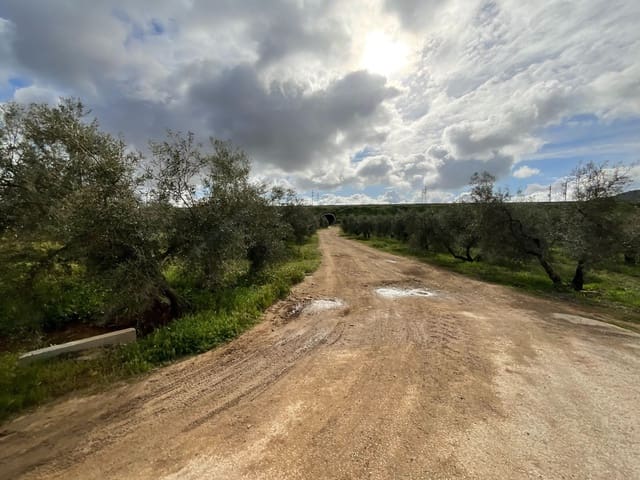 Finca/Casa di Campagna in vendita in Fuente de Piedra - 188.000 € (Rif: 9036364)