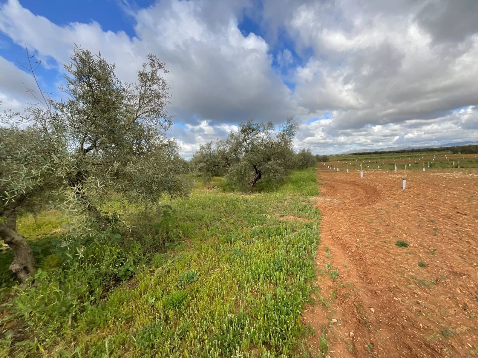 Finca/Landehus til salg i Fuente de Piedra - € 188.000 (Ref: 9036364)