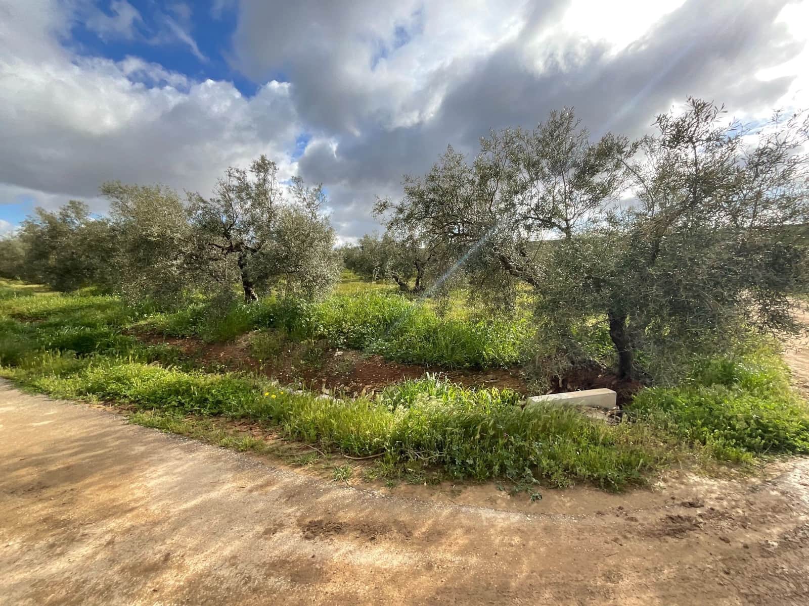 Finca/Landehus til salg i Fuente de Piedra - € 188.000 (Ref: 9036364)