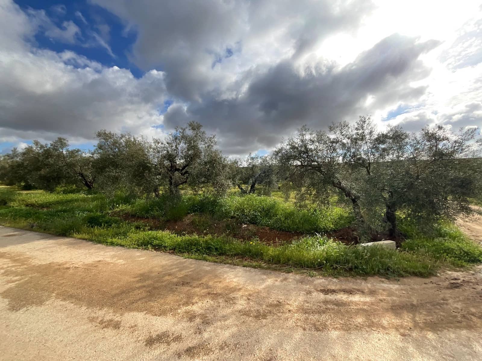 Finca/Landehus til salg i Fuente de Piedra - € 188.000 (Ref: 9036364)