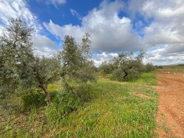 Finca/Casa di Campagna in vendita in Fuente de Piedra - 188.000 € (Rif: 9036364)