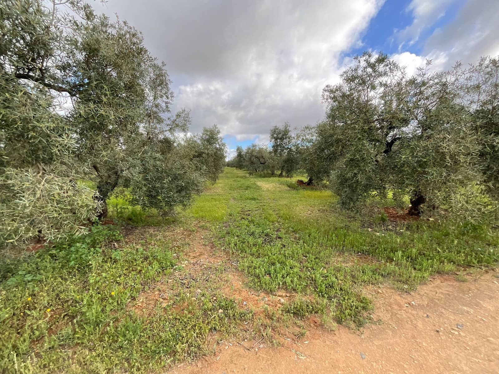 Finca/Landehus til salg i Fuente de Piedra - € 188.000 (Ref: 9036364)