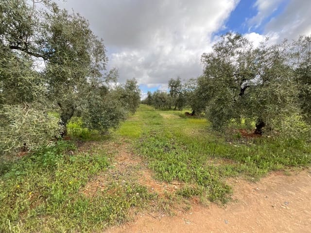 Finca/Casa di Campagna in vendita in Fuente de Piedra - 188.000 € (Rif: 9036364)