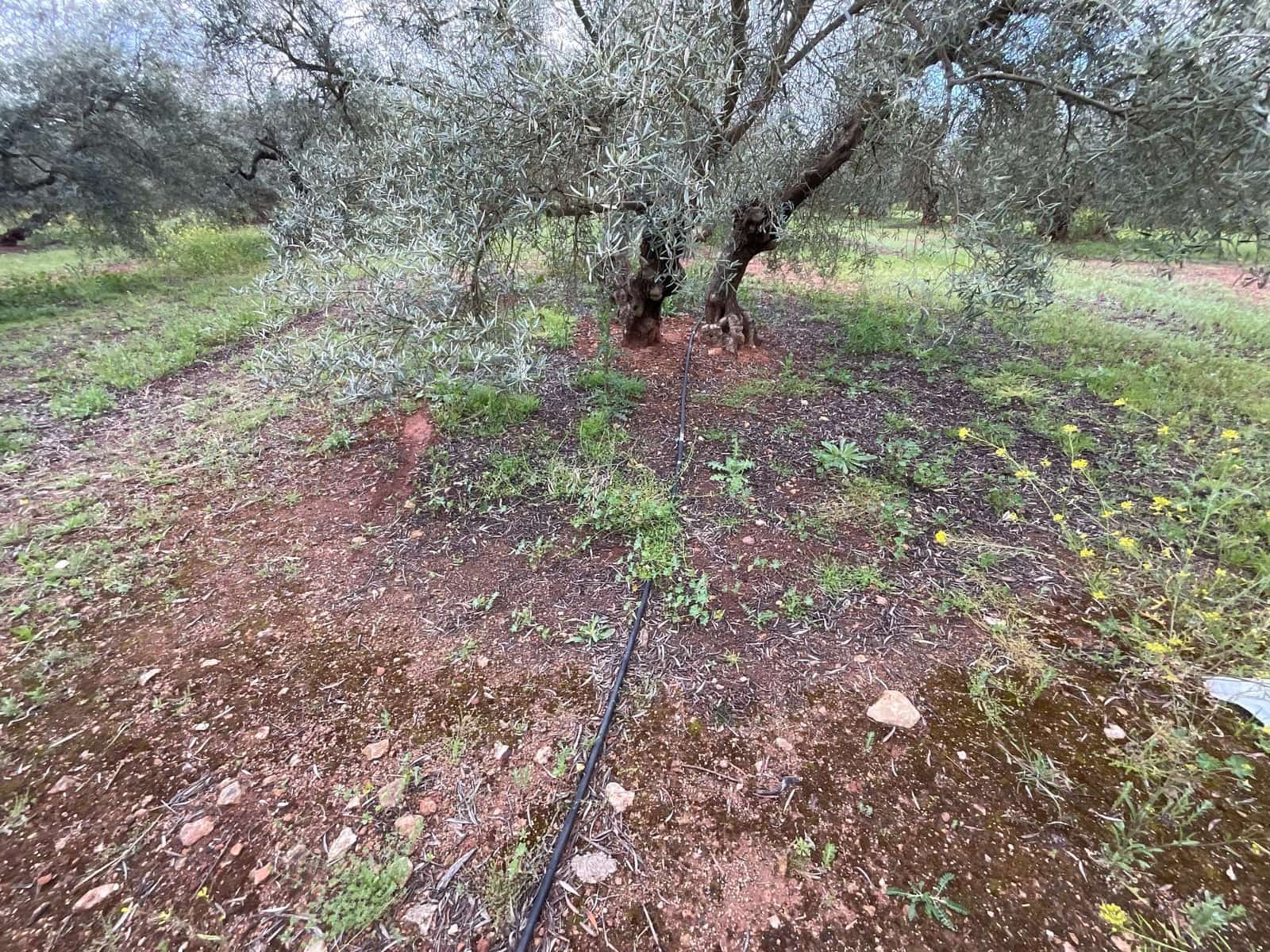 Finca/Landehus til salg i Fuente de Piedra - € 188.000 (Ref: 9036364)