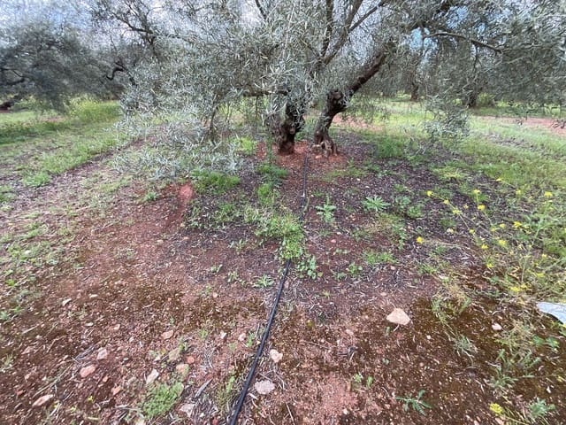 Finca/Casa di Campagna in vendita in Fuente de Piedra - 188.000 € (Rif: 9036364)