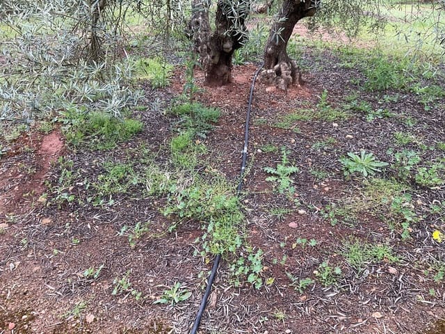 Finca/Casa di Campagna in vendita in Fuente de Piedra - 188.000 € (Rif: 9036364)