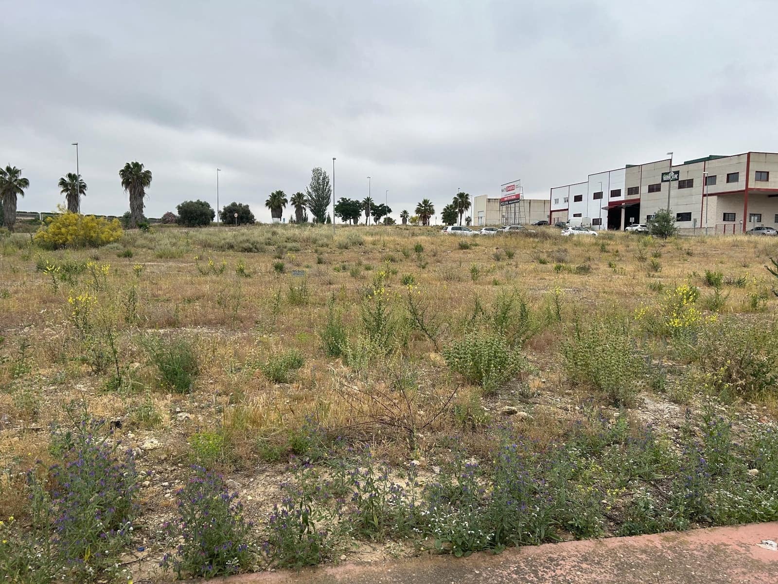 Terreno Não Urbanizado para venda em Mollina - 55 000 € (Ref: 9050677)