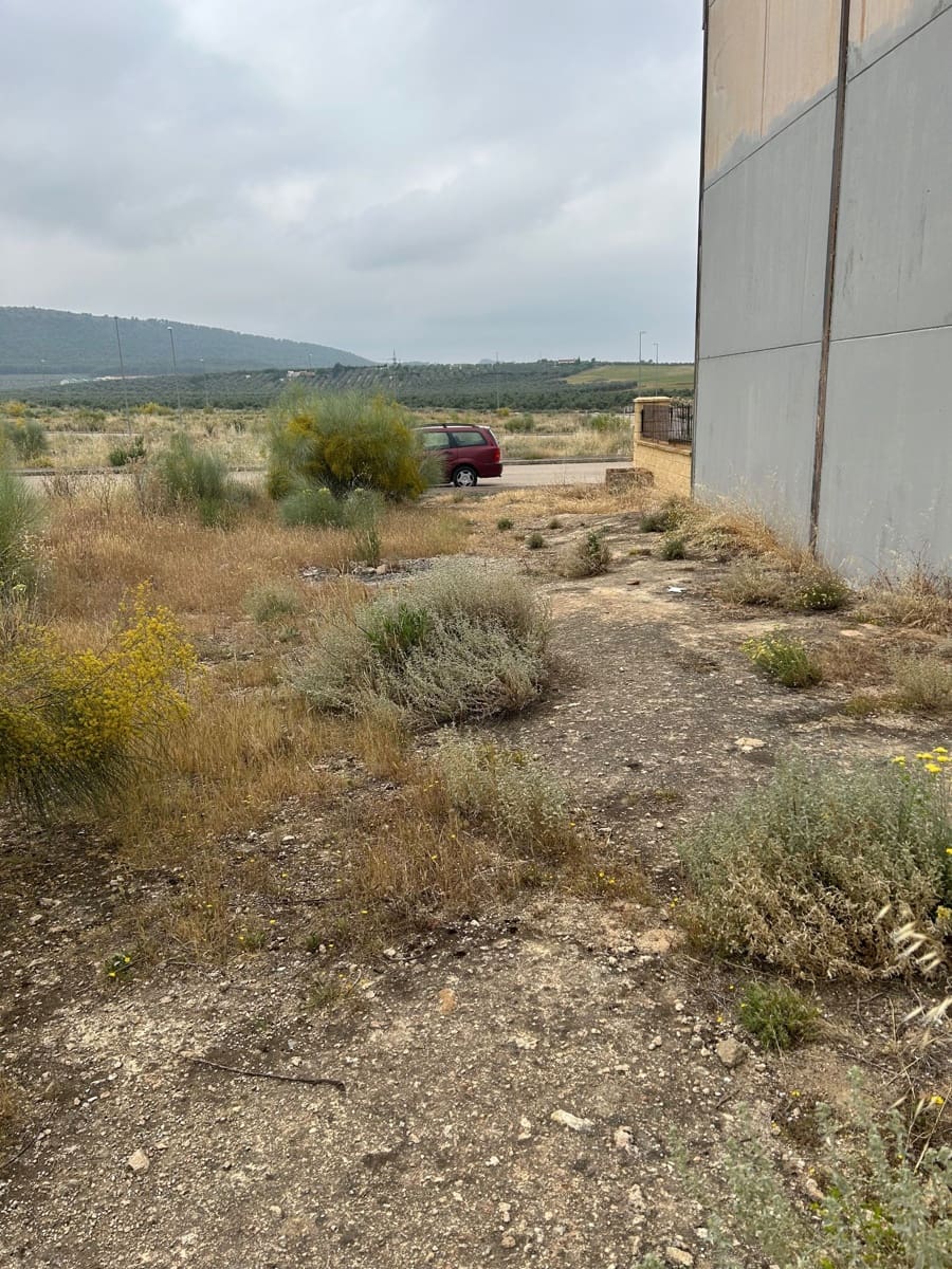 Grunde uden byggetilladelser til salg i Mollina - € 27.000 (Ref: 9057281)