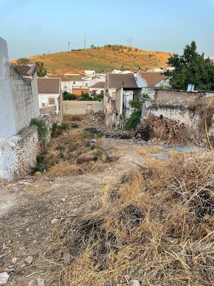 Ubebygd land til salgs i Alameda - € 55 000 (Ref: 9074836)