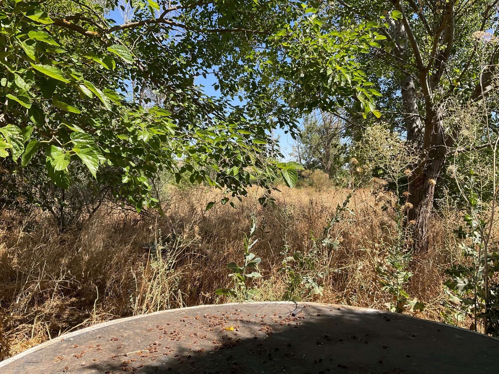 Finca/Landehus til salg i Antequera med swimmingpool garage - € 220.000 (Ref: 9146720)