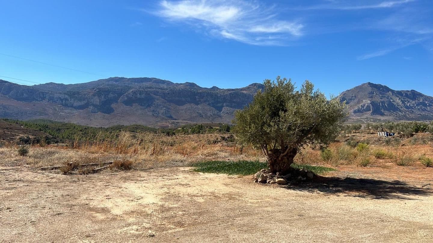 Rakentamaton maa myytävänä paikassa Antequera - 200 000 € (Ref: 9228150)