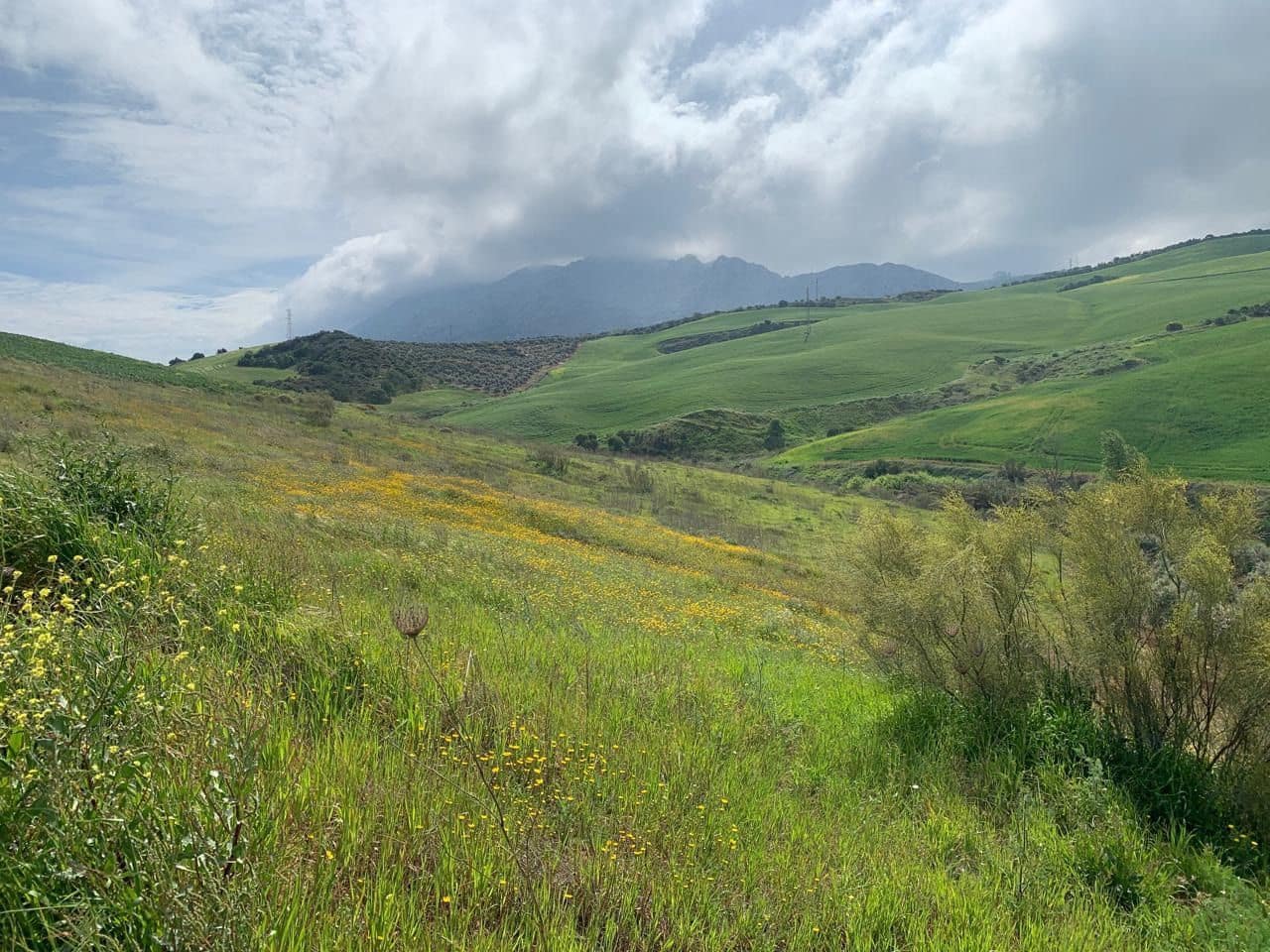 Finca/Landehus til salg i Valle de Abdalajis - € 45.000 (Ref: 9232167)