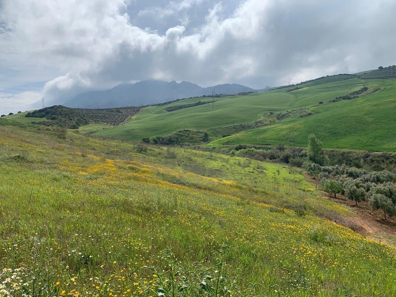 Finca/Landehus til salg i Valle de Abdalajis - € 45.000 (Ref: 9232167)