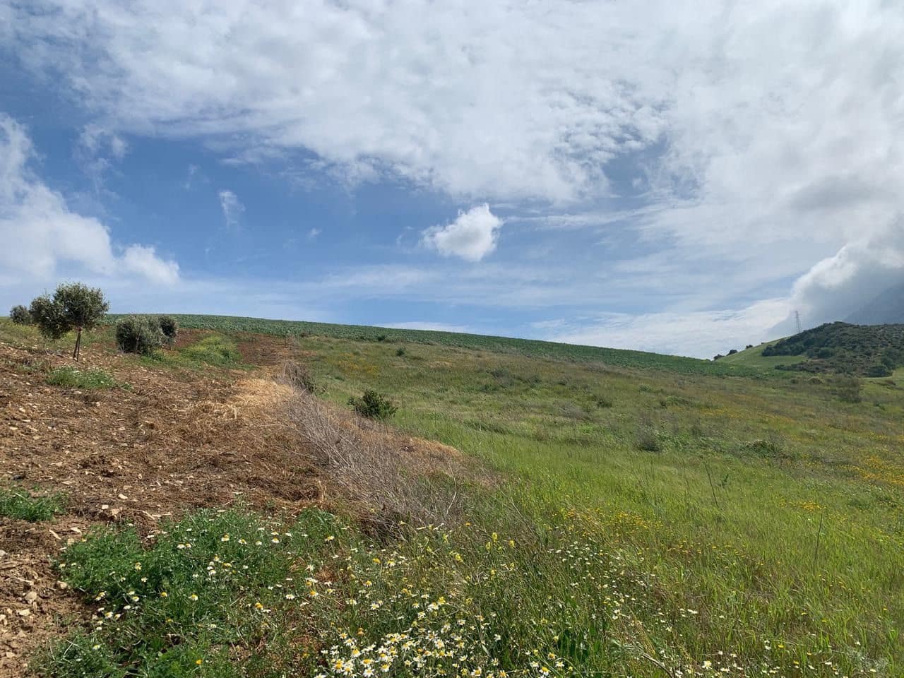 Finca/Landehus til salg i Valle de Abdalajis - € 45.000 (Ref: 9232167)