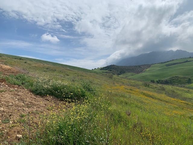 Finca/Landgut zu verkaufen in Valle de Abdalajís - 45.000 € (Ref: 9232167)