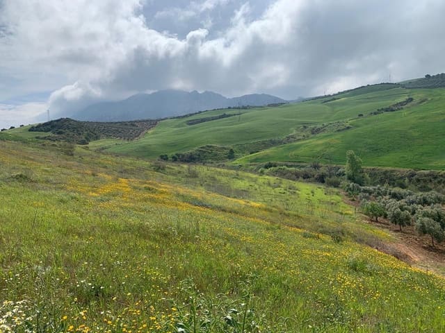 Finca/Landgut zu verkaufen in Valle de Abdalajís - 45.000 € (Ref: 9232167)