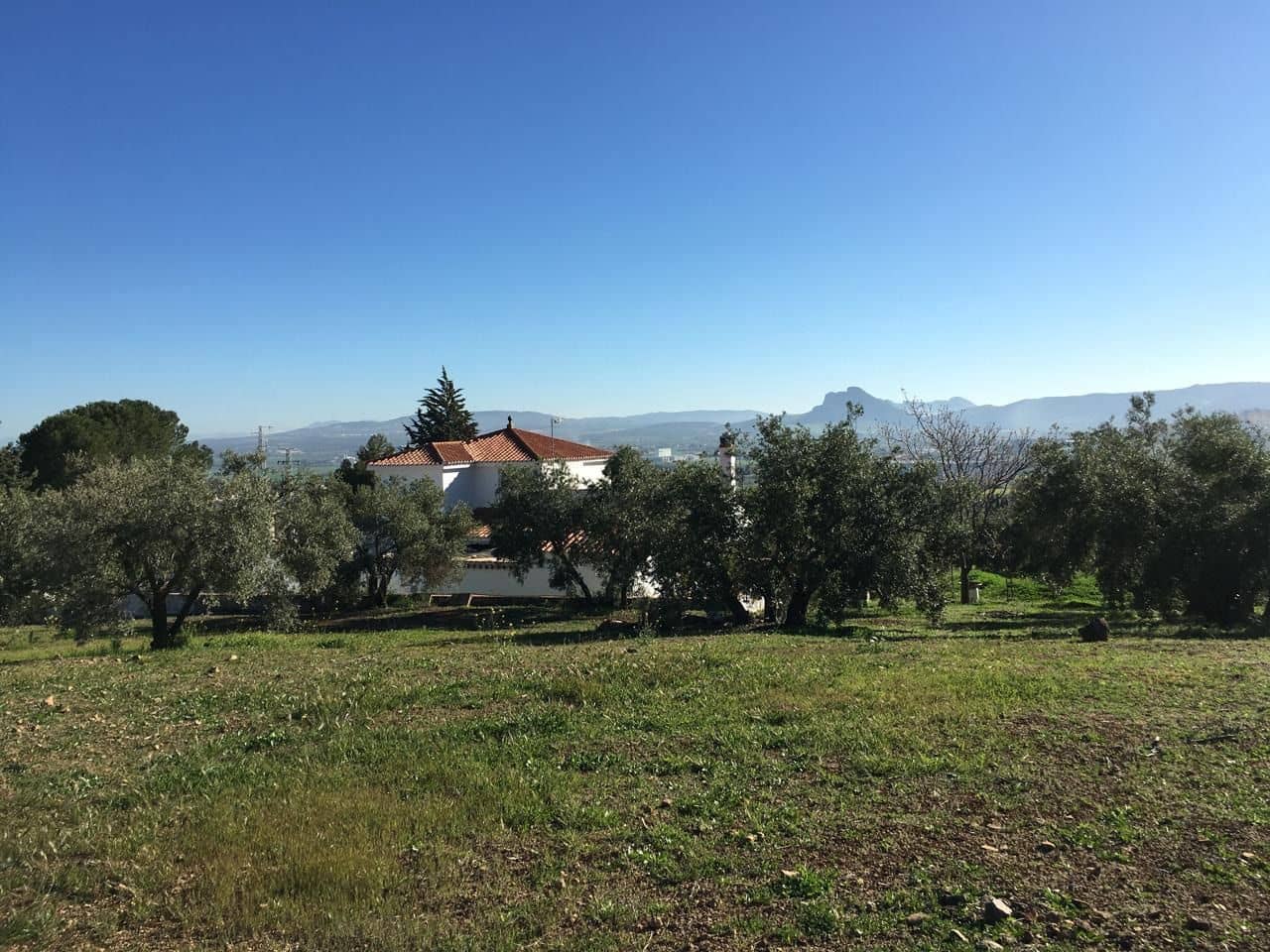 5 soveværelse Finca/Landehus til salg i Antequera med garage - € 450.000 (Ref: 9232175)