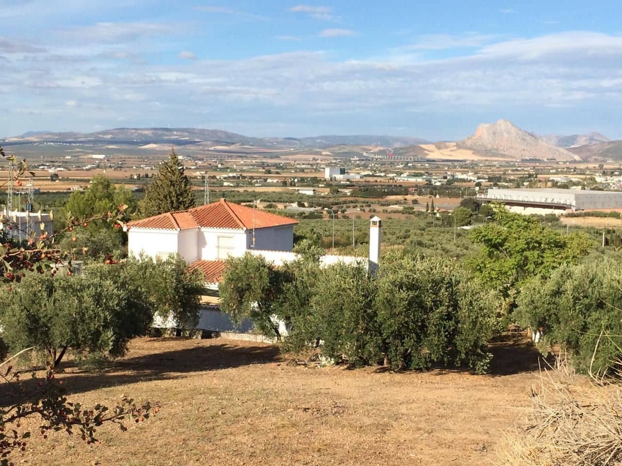 5 soveværelse Finca/Landehus til salg i Antequera med garage - € 450.000 (Ref: 9232175)